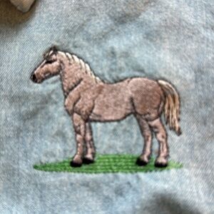 Vintage denim shirt with pony
